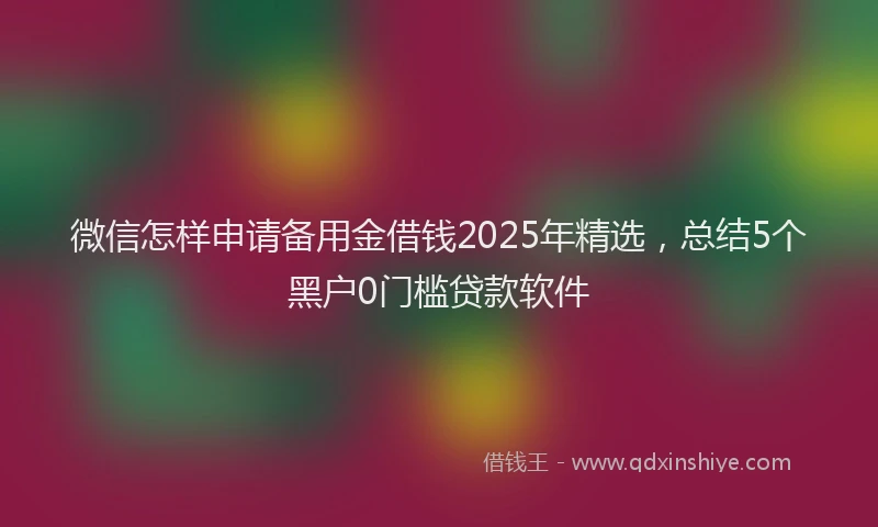 微信怎样申请备用金借钱2025年精选，总结5个黑户0门槛贷款软件