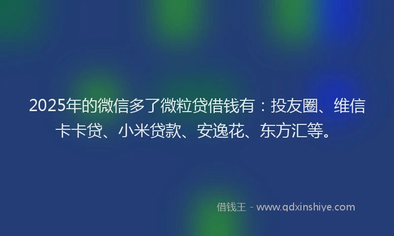 2025年的微信多了微粒贷借钱有：投友圈、维信卡卡贷、小米贷款、安逸花、东方汇等。