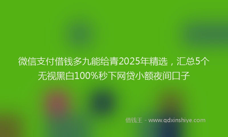 微信支付借钱多九能给青2025年精选，汇总5个无视黑白100%秒下网贷小额夜间口子