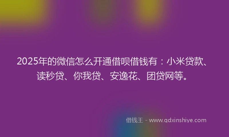 2025年的微信怎么开通借呗借钱有：小米贷款、读秒贷、你我贷、安逸花、团贷网等。
