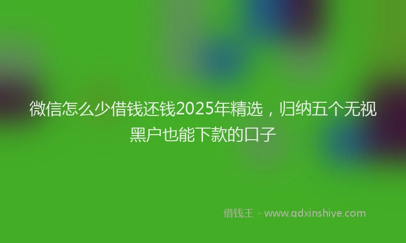微信怎么少借钱还钱2025年精选，归纳五个无视黑户也能下款的口子