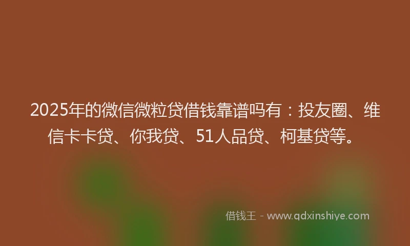 2025年的微信微粒贷借钱靠谱吗有：投友圈、维信卡卡贷、你我贷、51人品贷、柯基贷等。