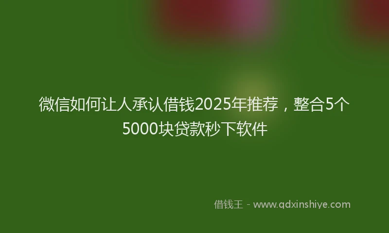 微信如何让人承认借钱2025年推荐，整合5个5000块贷款秒下软件