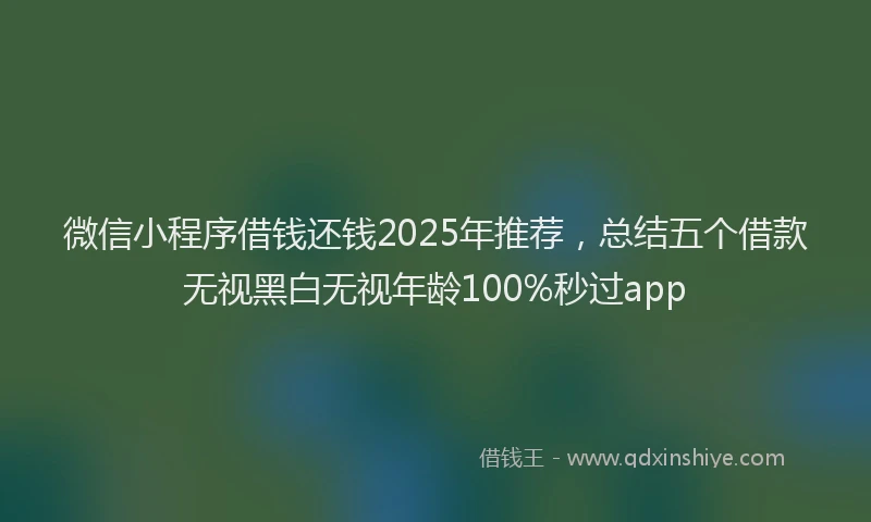 微信小程序借钱还钱2025年推荐，总结五个借款无视黑白无视年龄100%秒过app