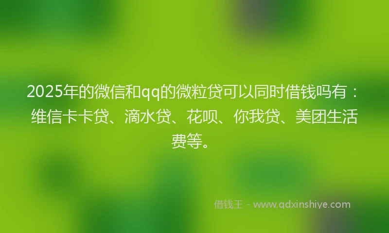 2025年的微信和qq的微粒贷可以同时借钱吗有：维信卡卡贷、滴水贷、花呗、你我贷、美团生活费等。