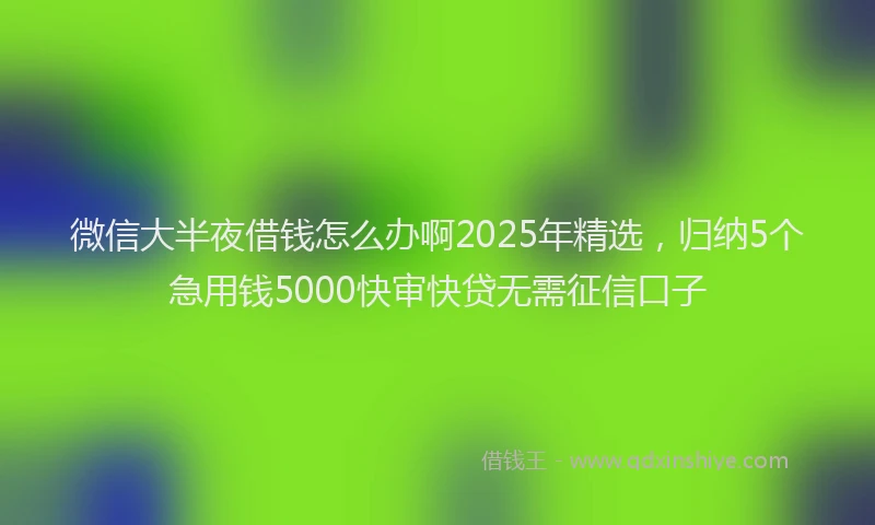 微信大半夜借钱怎么办啊2025年精选,归纳5个急用钱5000快审快贷无需征信口子