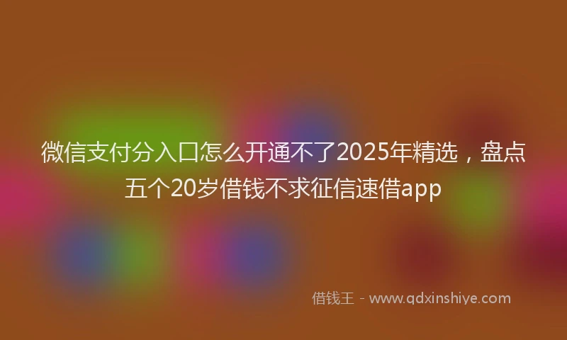 微信支付分入口怎么开通不了2025年精选，盘点五个20岁借钱不求征信速借app