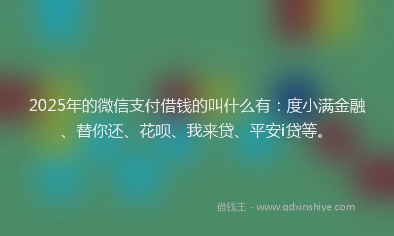 2025年的微信支付借钱的叫什么有：度小满金融、替你还、花呗、我来贷、平安i贷等。