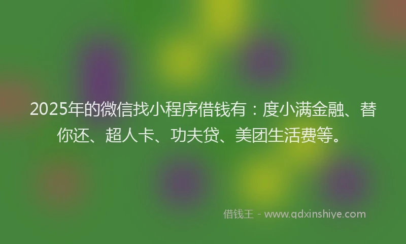 2025年的微信找小程序借钱有：度小满金融、替你还、超人卡、功夫贷、美团生活费等。