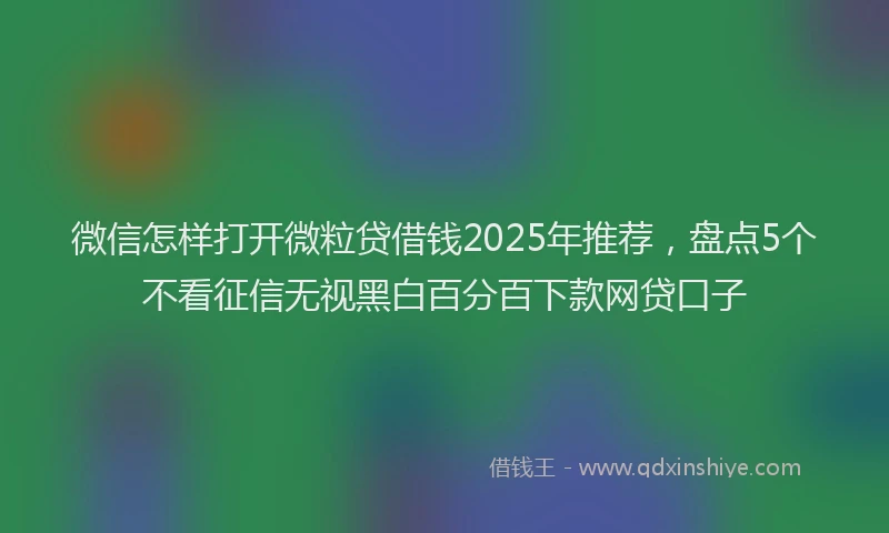 微信怎样打开微粒贷借钱2025年推荐，盘点5个不看征信无视黑白百分百下款网贷口子