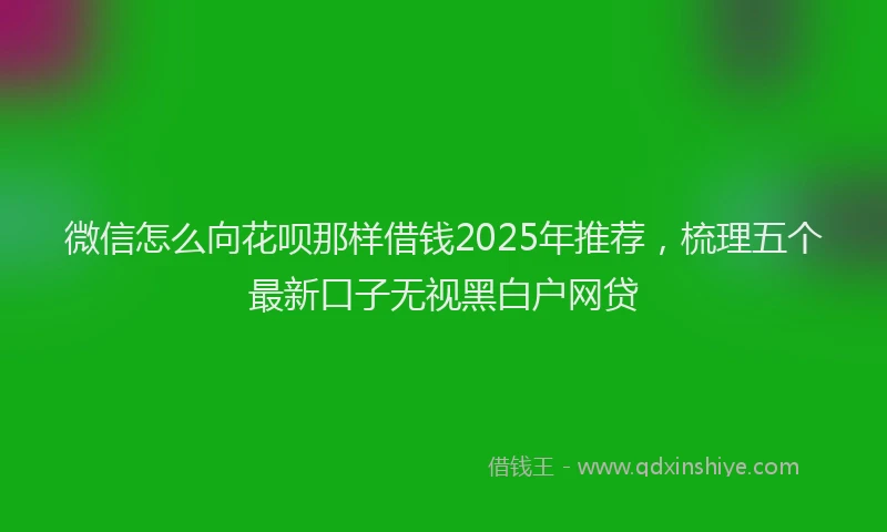微信怎么向花呗那样借钱2025年推荐，梳理五个最新口子无视黑白户网贷