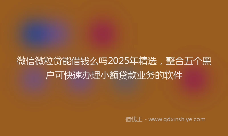 微信微粒贷能借钱么吗2025年精选，整合五个黑户可快速办理小额贷款业务的软件
