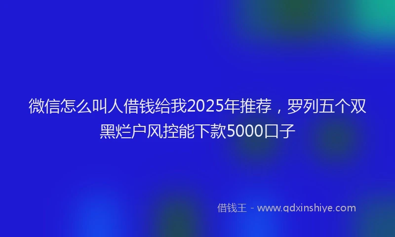 微信怎么叫人借钱给我2025年推荐，罗列五个双黑烂户风控能下款5000口子