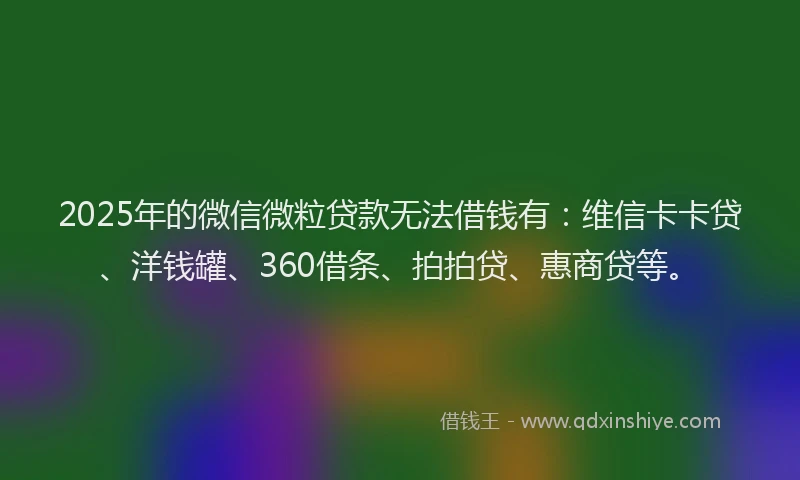 2025年的微信微粒贷款无法借钱有：维信卡卡贷、洋钱罐、360借条、拍拍贷、惠商贷等。