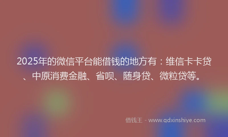 2025年的微信平台能借钱的地方有：维信卡卡贷、中原消费金融、省呗、随身贷、微粒贷等。