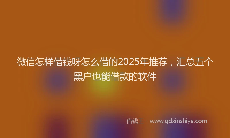 微信怎样借钱呀怎么借的2025年推荐，汇总五个黑户也能借款的软件