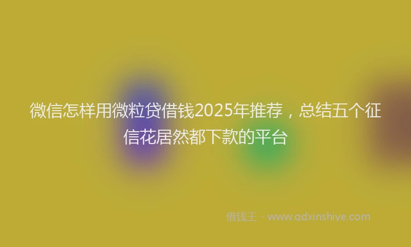 微信怎样用微粒贷借钱2025年推荐，总结五个征信花居然都下款的平台