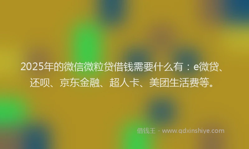2025年的微信微粒贷借钱需要什么有：e微贷、还呗、京东金融、超人卡、美团生活费等。