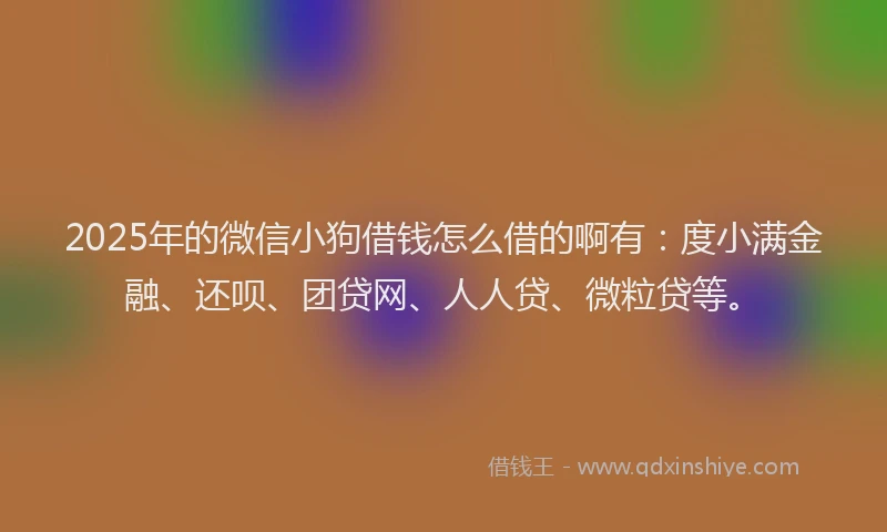 2025年的微信小狗借钱怎么借的啊有：度小满金融、还呗、团贷网、人人贷、微粒贷等。