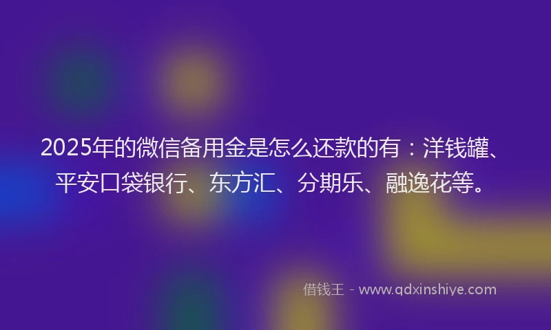 2025年的微信备用金是怎么还款的有：洋钱罐、平安口袋银行、东方汇、分期乐、融逸花等。