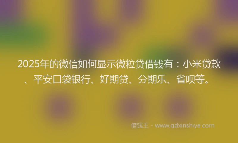 2025年的微信如何显示微粒贷借钱有：小米贷款、平安口袋银行、好期贷、分期乐、省呗等。
