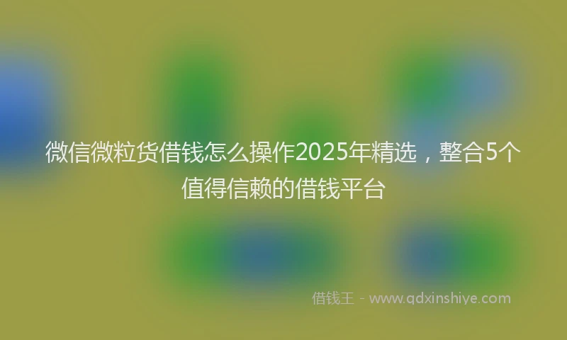 微信微粒货借钱怎么操作2025年精选，整合5个值得信赖的借钱平台