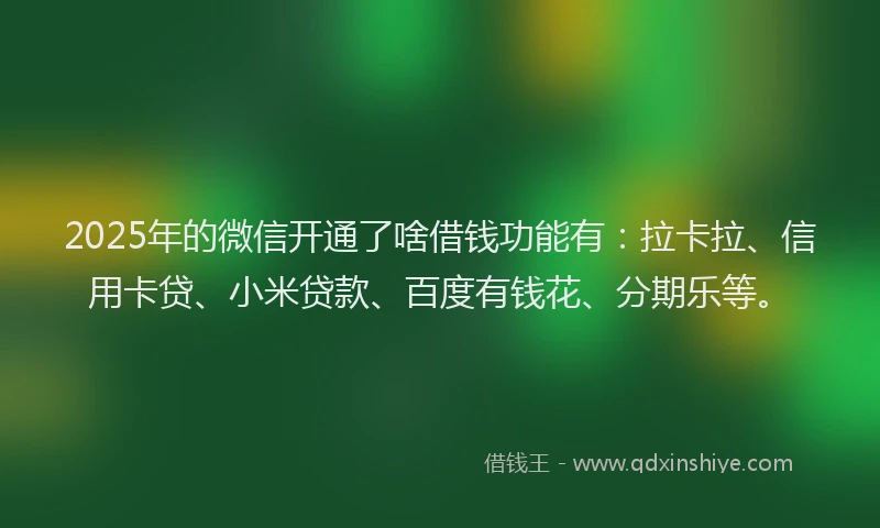 2025年的微信开通了啥借钱功能有：拉卡拉、信用卡贷、小米贷款、百度有钱花、分期乐等。