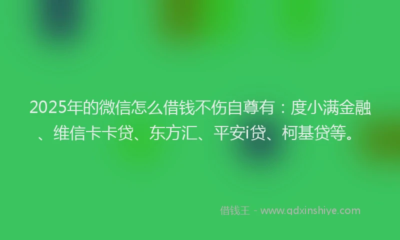 2025年的微信怎么借钱不伤自尊有：度小满金融、维信卡卡贷、东方汇、平安i贷、柯基贷等。