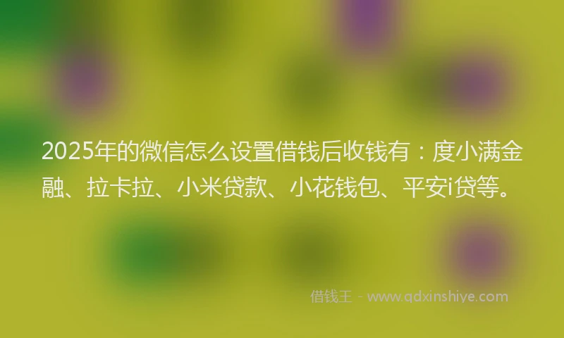 2025年的微信怎么设置借钱后收钱有：度小满金融、拉卡拉、小米贷款、小花钱包、平安i贷等。