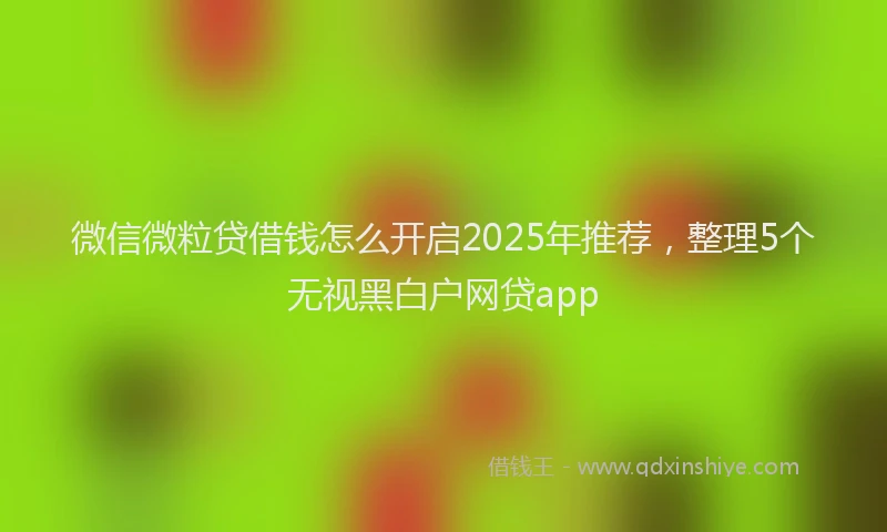 微信微粒贷借钱怎么开启2025年推荐，整理5个无视黑白户网贷app