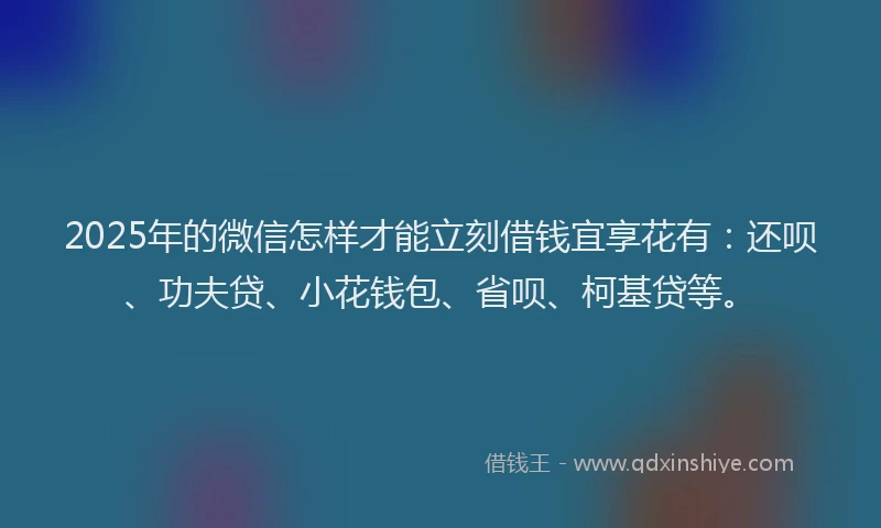 2025年的微信怎样才能立刻借钱宜享花有：还呗、功夫贷、小花钱包、省呗、柯基贷等。