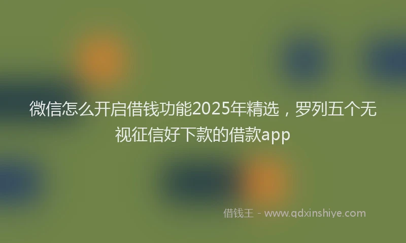 微信怎么开启借钱功能2025年精选，罗列五个无视征信好下款的借款app