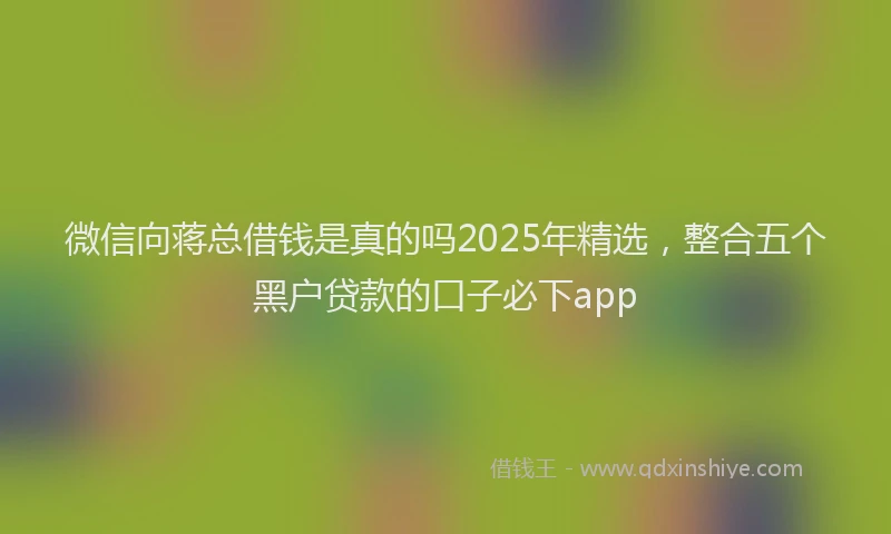 微信向蒋总借钱是真的吗2025年精选，整合五个黑户贷款的口子必下app