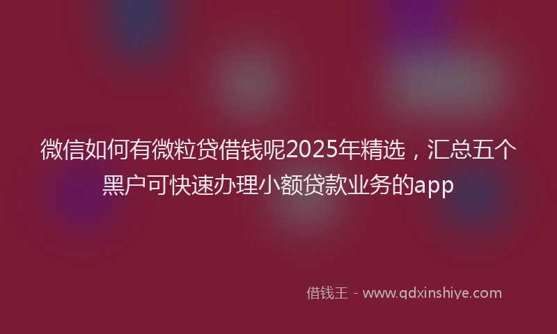微信如何有微粒贷借钱呢2025年精选，汇总五个黑户可快速办理小额贷款业务的app