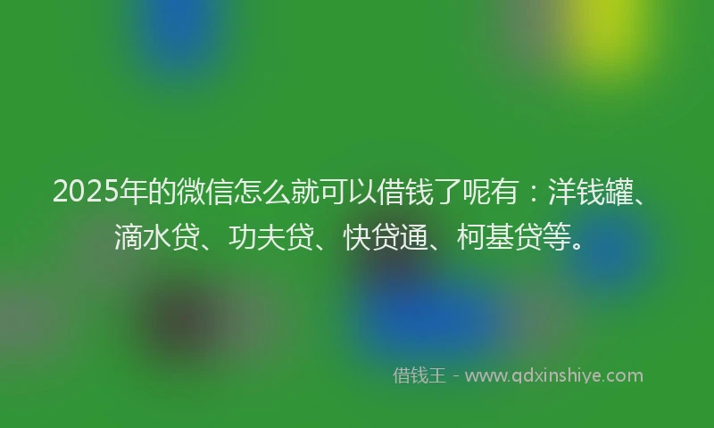 2025年的微信怎么就可以借钱了呢有：洋钱罐、滴水贷、功夫贷、快贷通、柯基贷等。