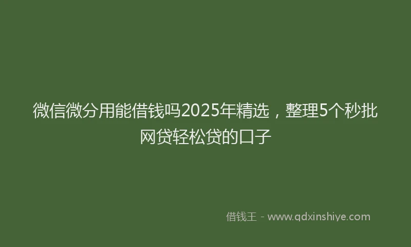 微信微分用能借钱吗2025年精选，整理5个秒批网贷轻松贷的口子