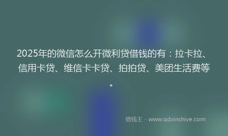 2025年的微信怎么开微利贷借钱的有：拉卡拉、信用卡贷、维信卡卡贷、拍拍贷、美团生活费等。