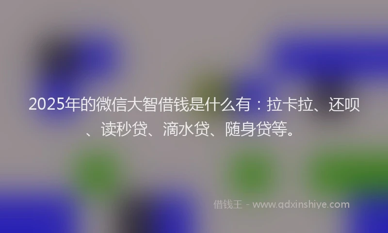 2025年的微信大智借钱是什么有：拉卡拉、还呗、读秒贷、滴水贷、随身贷等。