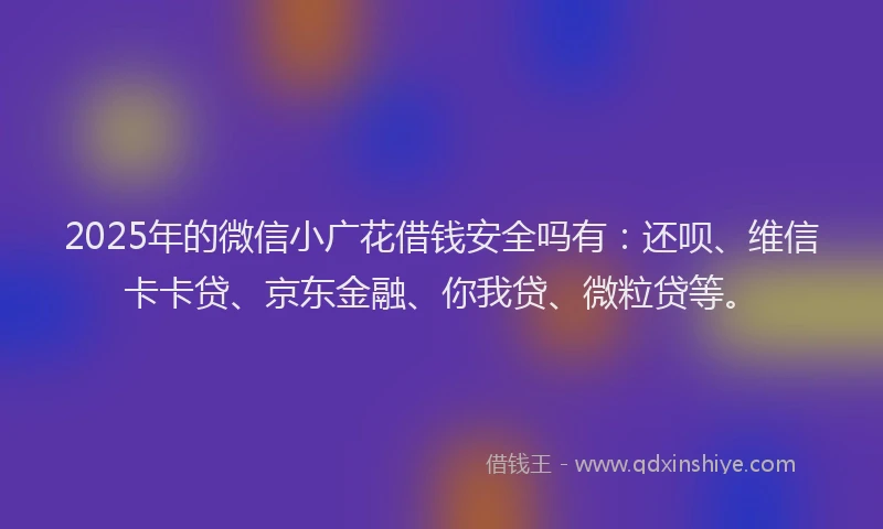 2025年的微信小广花借钱安全吗有：还呗、维信卡卡贷、京东金融、你我贷、微粒贷等。