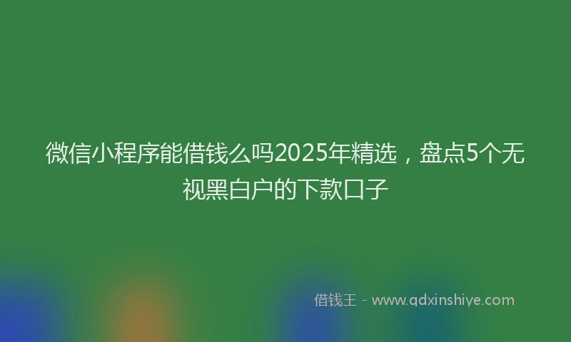 微信小程序能借钱么吗2025年精选，盘点5个无视黑白户的下款口子