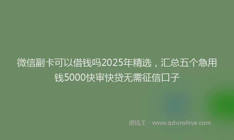 微信副卡可以借钱吗2025年精选，汇总五个急用钱5000快审快贷无需征信口子
