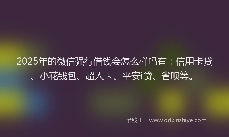 2025年的微信强行借钱会怎么样吗有：信用卡贷、小花钱包、超人卡、平安i贷、省呗等。