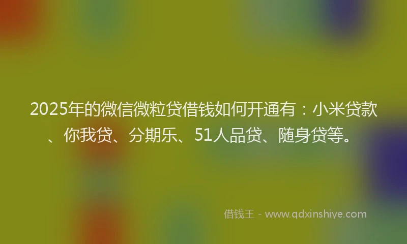 2025年的微信微粒贷借钱如何开通有：小米贷款、你我贷、分期乐、51人品贷、随身贷等。