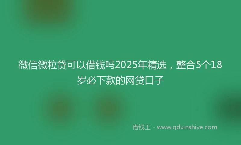 微信微粒贷可以借钱吗2025年精选，整合5个18岁必下款的网贷口子