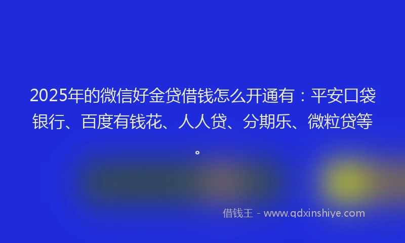 2025年的微信好金贷借钱怎么开通有：平安口袋银行、百度有钱花、人人贷、分期乐、微粒贷等。