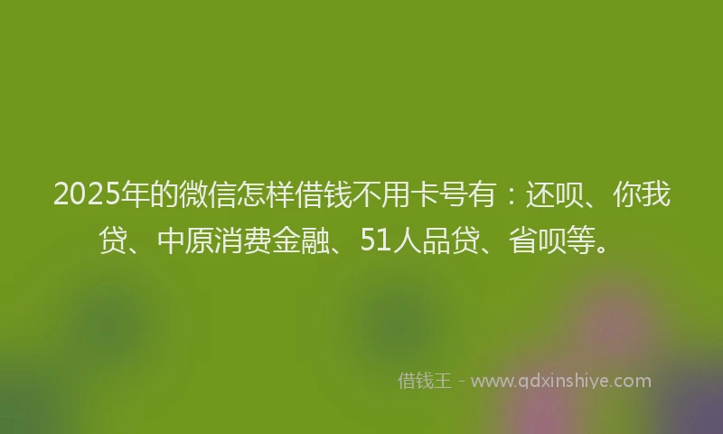 2025年的微信怎样借钱不用卡号有：还呗、你我贷、中原消费金融、51人品贷、省呗等。