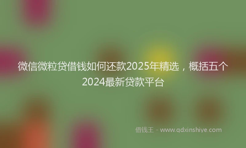 微信微粒贷借钱如何还款2025年精选，概括五个2024最新贷款平台