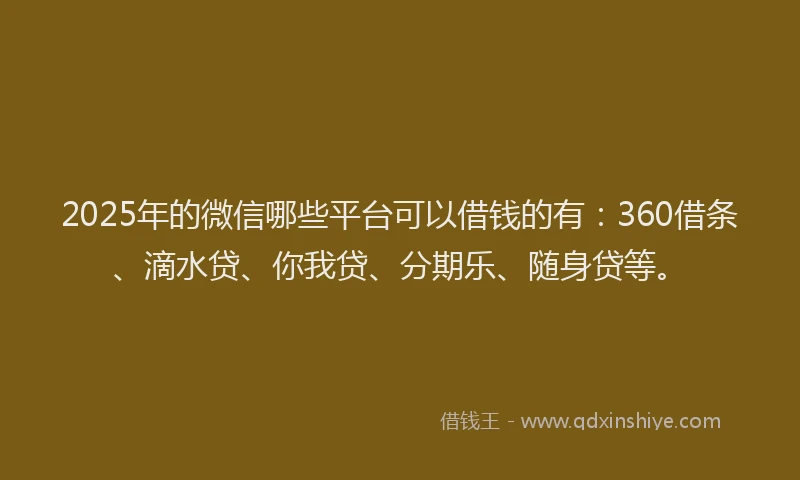 2025年的微信哪些平台可以借钱的有：360借条、滴水贷、你我贷、分期乐、随身贷等。