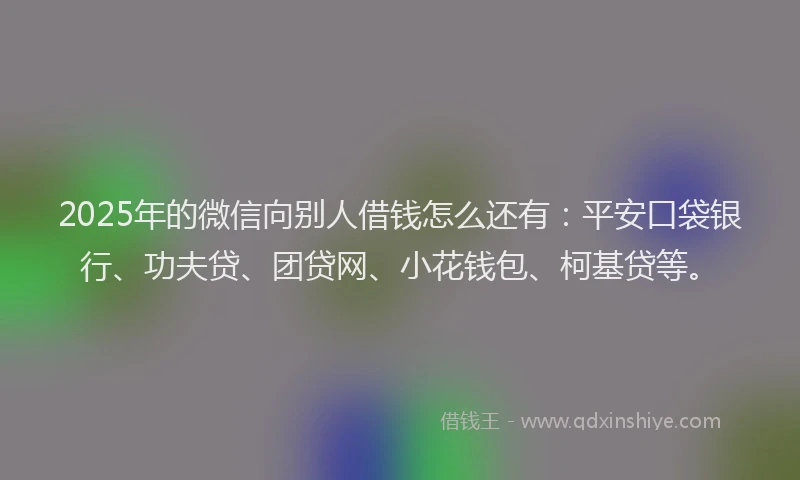 2025年的微信向别人借钱怎么还有：平安口袋银行、功夫贷、团贷网、小花钱包、柯基贷等。