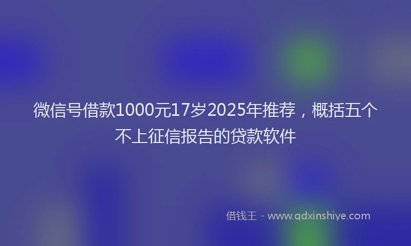 微信号借款1000元17岁2025年推荐，概括五个不上征信报告的贷款软件